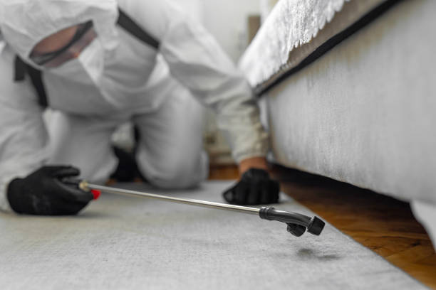 Professional Termite Control technician working in Burley, WA