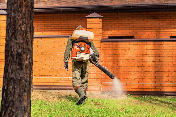 Top rated local Termite Control specialists in Burley, WA